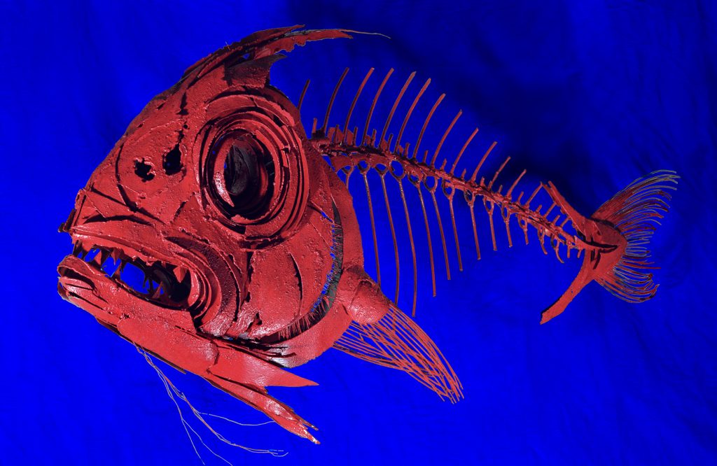 Close up of Red Snapper | Metal Fish Sculpture by Russell West