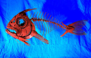 Red Snapper | Metal Fish Sculpture By Russell West