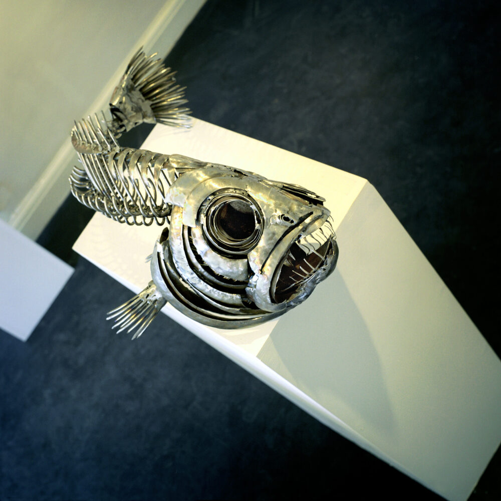 Fish XVIII | Fish Wall Art | Metal Sculpture by Russell West